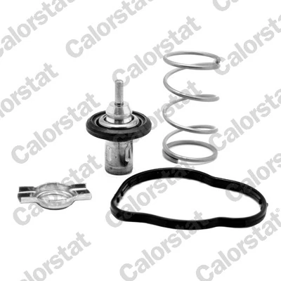 Thermostat, coolant